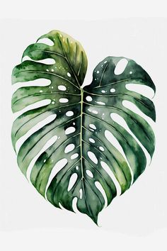 Retro botanical graphics perfect for adding a unique touch to poster designs, event flyers, and promotional materials. Paintings Of Monstera Leaves, Monstera Adansonii Drawing, Watercolour Monstera, Monstera Plant Painting, Monstera Plant Drawing, Monstera Leaf Painting, Leaf Digital Art, Monstera Plant Art, Monstera Line Art