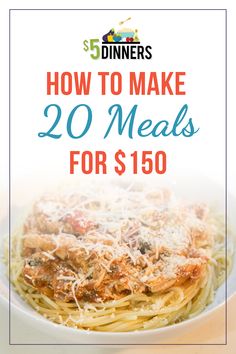 how to make 20 meals for $150 Frugal Meal Plan, Slow Cooker Meal Prep, Freezer Packs, Slow Cooker Freezer Meals, Sour Cream Chicken, Freezer Meal Prep, Slow Cooker Beef Stew