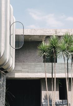 two palm trees in front of a concrete building