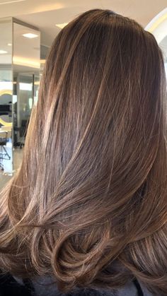 Brown Foliage Hair, Brunette Soft Highlights, Brown Sugar Highlights, Dark Brown Hair With Minimal Highlights, Layered Hair Color Ideas, Level 5 Brown Hair With Highlights, Medium Brown Hair Balayage, Subtle Balayage Brunette Dark, Sand Brown Hair