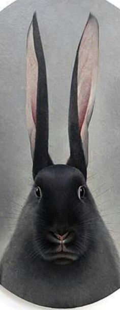 a close up of a black rabbit's face on a gray background with the words happy easter written below it