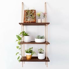 three wooden shelves with plants and potted plants on them, hanging from the wall