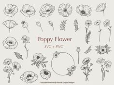 the poppy flower collection is shown in black and white