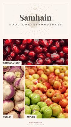 an image of some fruits and vegetables with the caption samhan food correspondences