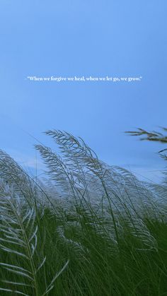 the grass is blowing in the wind with a quote above it that says, when we forget to break, let go grow