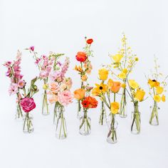 several vases filled with different types of flowers on a white background, one is empty