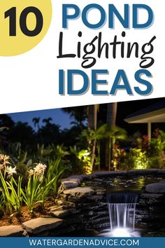 the words pond lighting ideas are in front of an image of a fountain and flowers