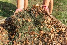 a person standing on top of a pile of leaves