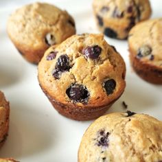 several blueberry muffins on a white plate