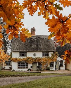 a white house with a thatched roof surrounded by autumn leaves