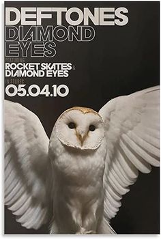 a white owl with its wings spread out in front of the words deftones diamond eyes