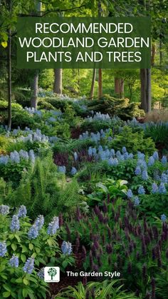 the cover of recommended woodland garden plants and trees, with blue flowers in the foreground