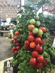 tomatoes, lettuce and broccoli are hanging from the top of a tree