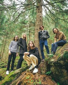 group of people standing on top of a tree in the woods