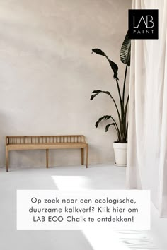 a wooden bench sitting in front of a white wall next to a tall potted plant