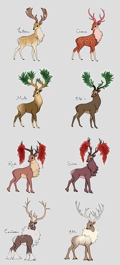 the different types of deers are depicted in this drawing