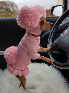 a small dog in a pink sweater and hat on the steering wheel of a car