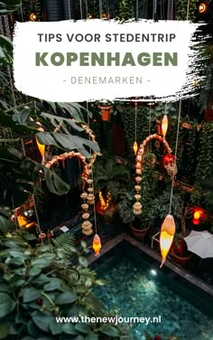 a small pool surrounded by greenery and hanging lights with the words tips vor steenttrip kopenhagen denmarken