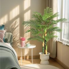 a palm tree in a bedroom next to a small table with a potted plant on it