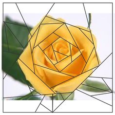 a yellow rose with green leaves in the center is surrounded by geometric lines and triangles