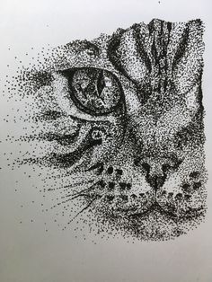 a black and white drawing of a cat's face with dots all over it