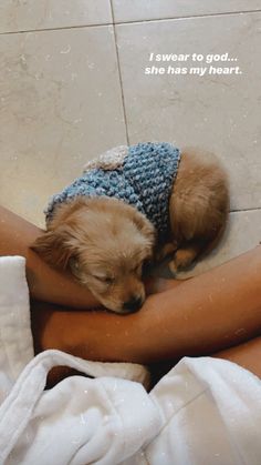 a small brown dog wearing a blue hat on top of someone's arm and leg