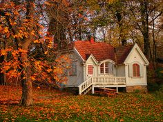 a white house sitting in the middle of a forest with fall leaves on the ground