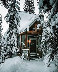 a cabin in the woods is covered with snow