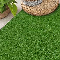 a green area rug in front of a potted plant and wicker basket on the floor