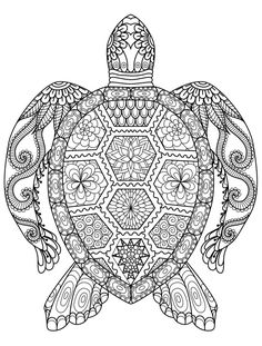 a coloring book page with an intricate turtle