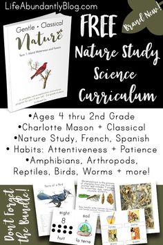 the nature study poster for children's science class with pictures of birds and plants