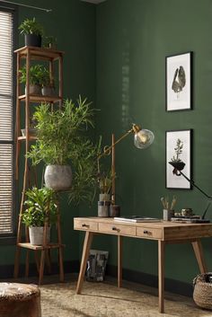 an office with green walls and plants on the desk