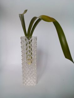 a glass vase with some green plants in it