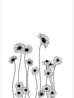 black and white drawing of daisies on a white background