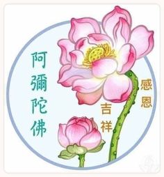 a pink flower with chinese writing in the middle and an image of two flowers on it