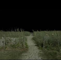 a dirt path in the middle of a field with tall grass and fence around it