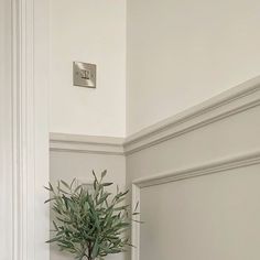 a potted plant sitting on top of a wooden table next to a white wall