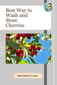 the best way to wash and store cherries