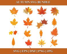 the autumn svg bundle includes maple leaves