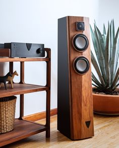 two wooden speakers sitting on top of a shelf next to a potted plant and bookshelf