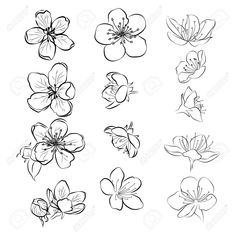 flowers drawn in black and white on a white background