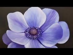 an image of a blue flower that is in the middle of it's petals