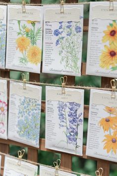 seed packets are hanging on a wooden rack with tags attached to them that show different types of wildflowers