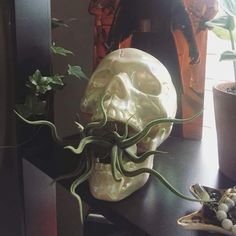 a skull with an octopus crawling out of it's mouth sitting on a table