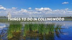 the words things to do in collingwood are overlaid by water and grass