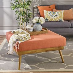 a living room filled with furniture and a potted plant on top of a coffee table