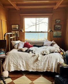 two dogs laying on a bed in front of a window