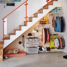 an organized closet under the stairs in a home