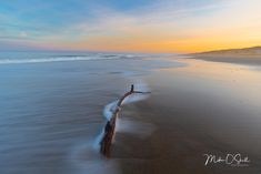 a log sticking out of the sand on a beach at sunset with waves coming in