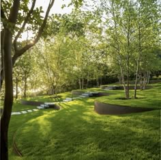 a grassy area with benches and trees in the background